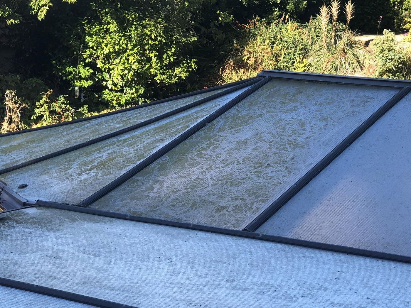 Conservatory roof before cleaning: panels covered in green algae and grime