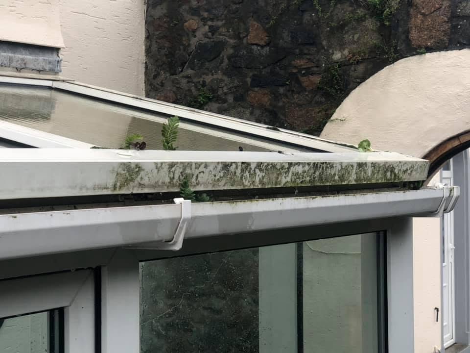 A roof being soft washed to remove moss and algae